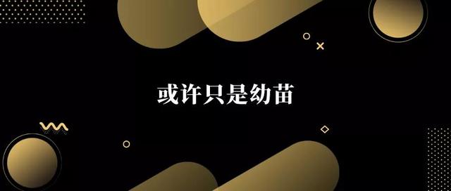 科技股的强势到头了吗？