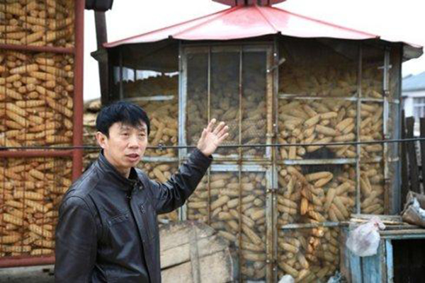 已上市的粮食股票 已上市的粮食股票